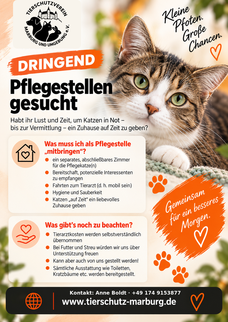 pflegestellen gesucht mit kontakt anne boldt